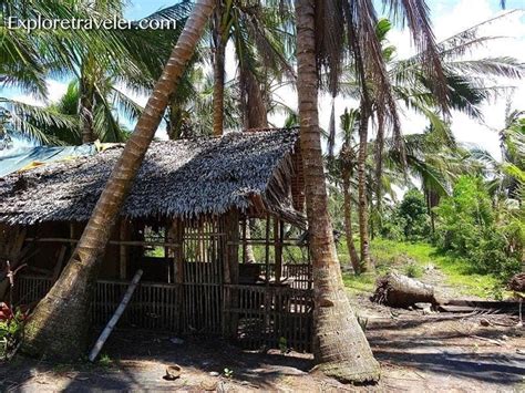 pinay kinantot sa bukid|You might also like .